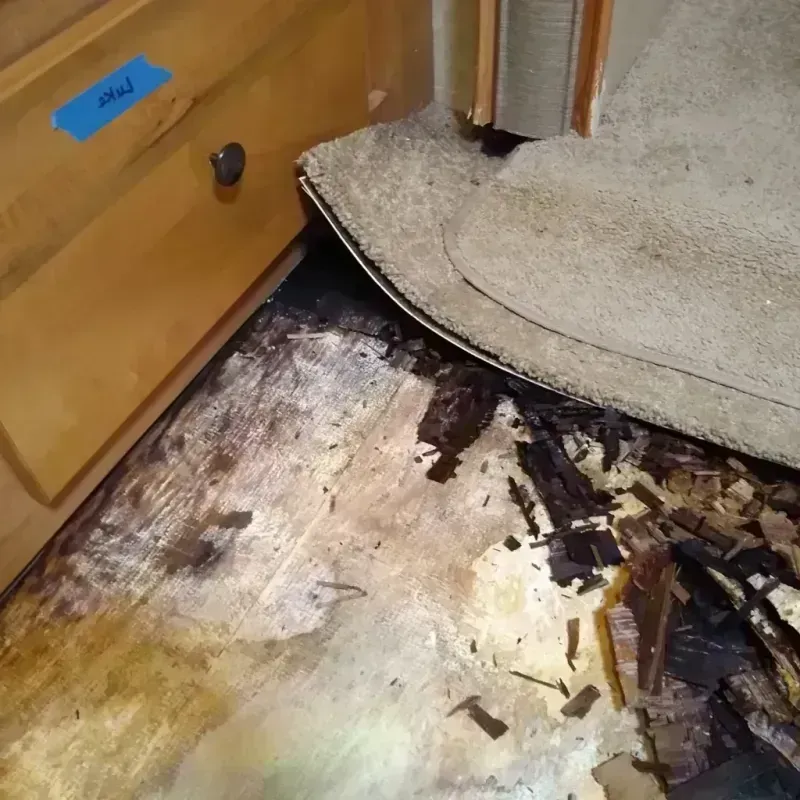 Best Wood Floor Water Damage Service in Grill, PA